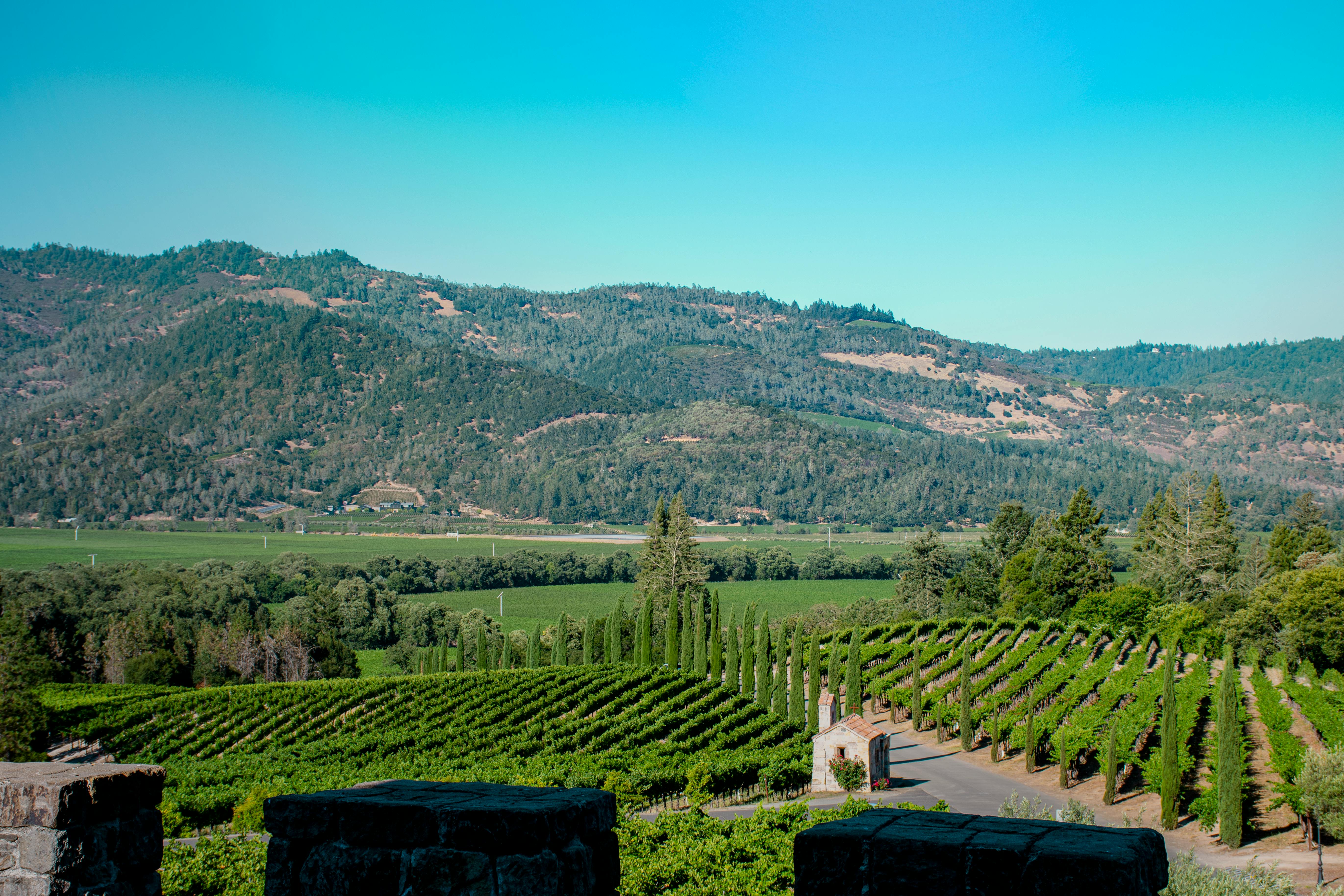 Temecula wine country vineyards, California
